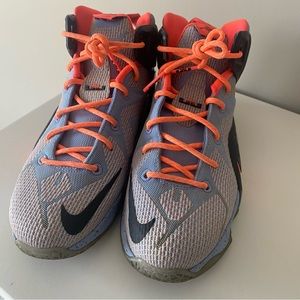 Lebron Sneakers